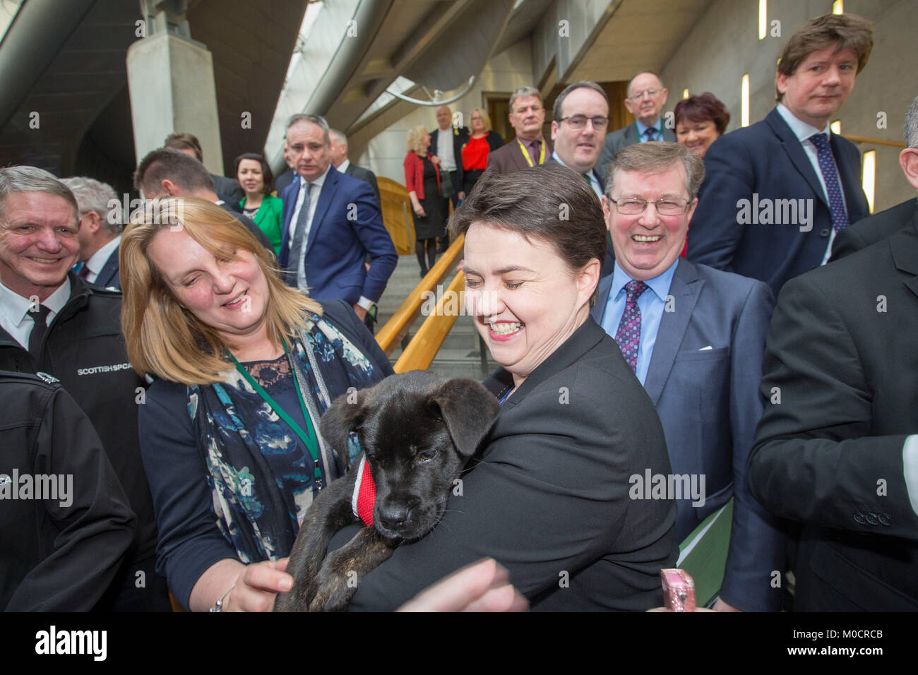 Ruth Davidson MSP avec chiot du parlement écossais Peter Devlin Pic Banque D'Images
