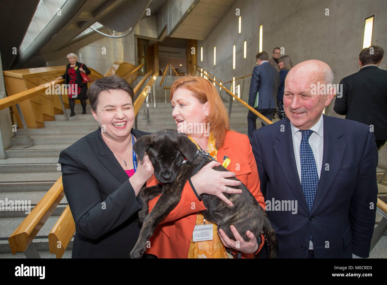 Ruth Davidson MSP avec chiot du parlement écossais Peter Devlin Pic Banque D'Images