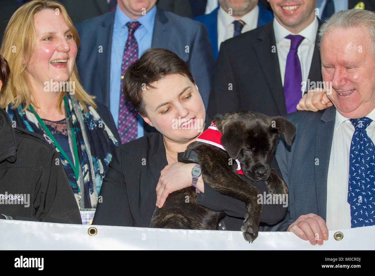 Ruth Davidson MSP avec chiot du parlement écossais Peter Devlin Pic Banque D'Images
