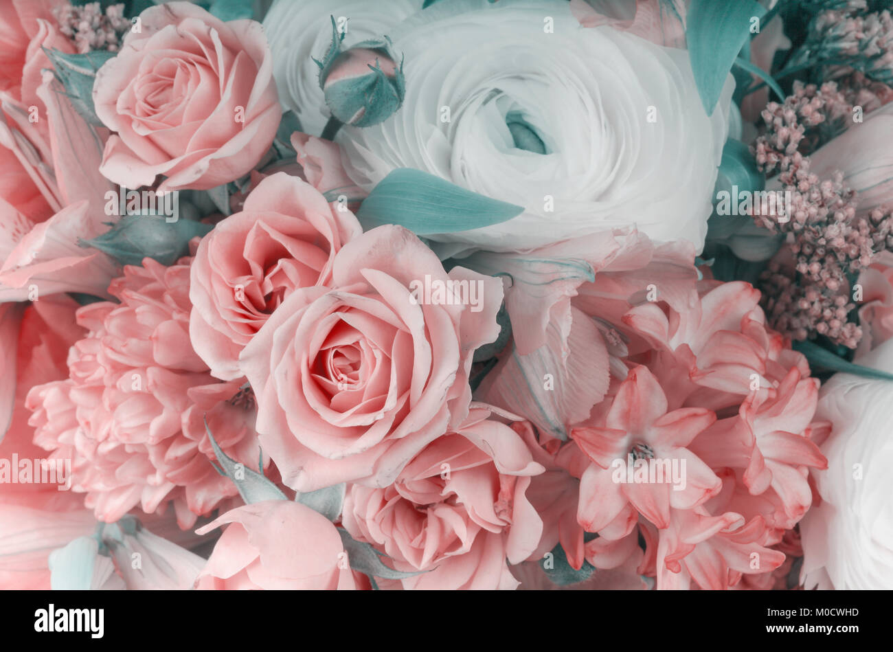 Bouquet de fleurs incroyable arrangement close up aux couleurs pastel Banque D'Images