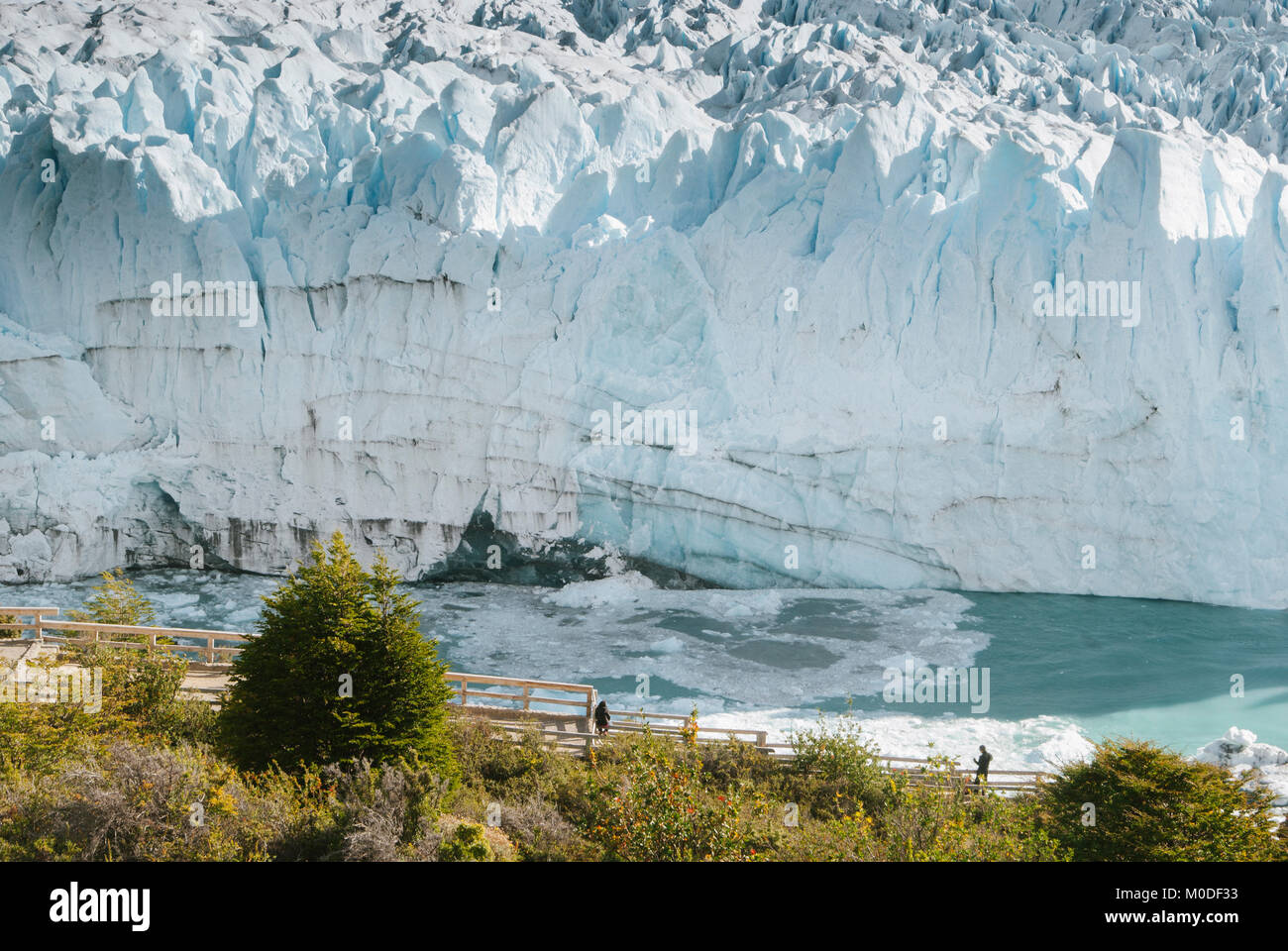 Vue incroyable sur le glacier Perito Moreno et le système de passerelle construite pour les touristes pour observer le carachteristic la chute de glace, Patagonie, Argentine Banque D'Images