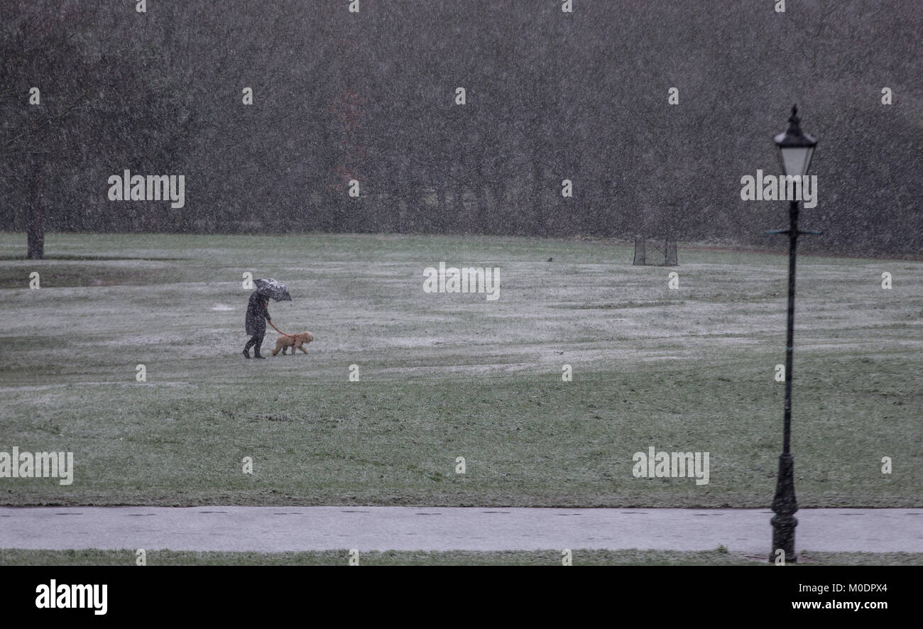 Les gens à pied durant une chute de neige à l'Alexandra Palace, Londres, comme les gens de partout au pays sont préparés à plus de neige après le Royaume-Uni a gelé sur la nuit la plus froide en près de deux ans. Banque D'Images