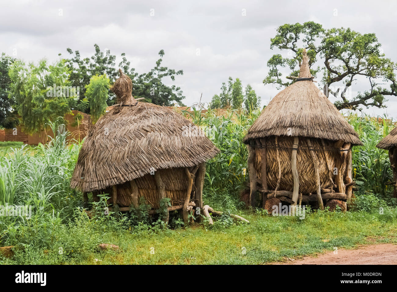 Deux greniers africains traditionnels faits de bois et de paille dans un champ de mil, Ouagadougou, Burkina Faso. Banque D'Images