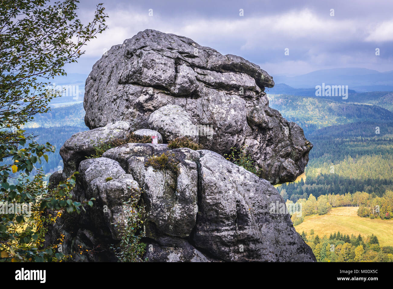 Rock le gorille Szczeliniec Wielki, le plus haut sommet des montagnes Stolowe (Montagnes de Table), une partie de la gamme des Sudètes, Pologne Banque D'Images