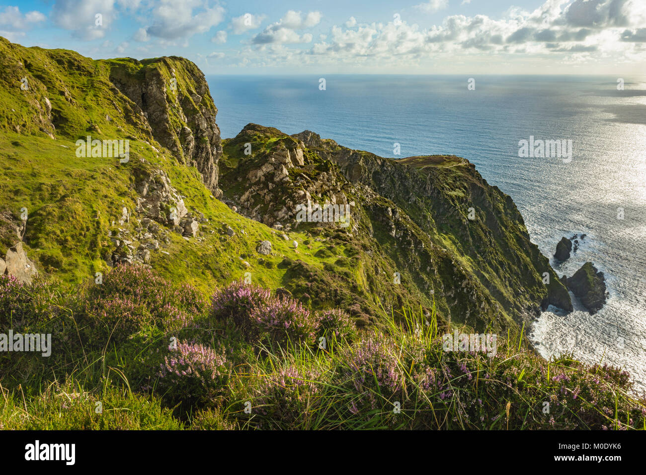 Une falaise à Sliabh Liag, Co Donegal, sur une journée ensoleillée Banque D'Images