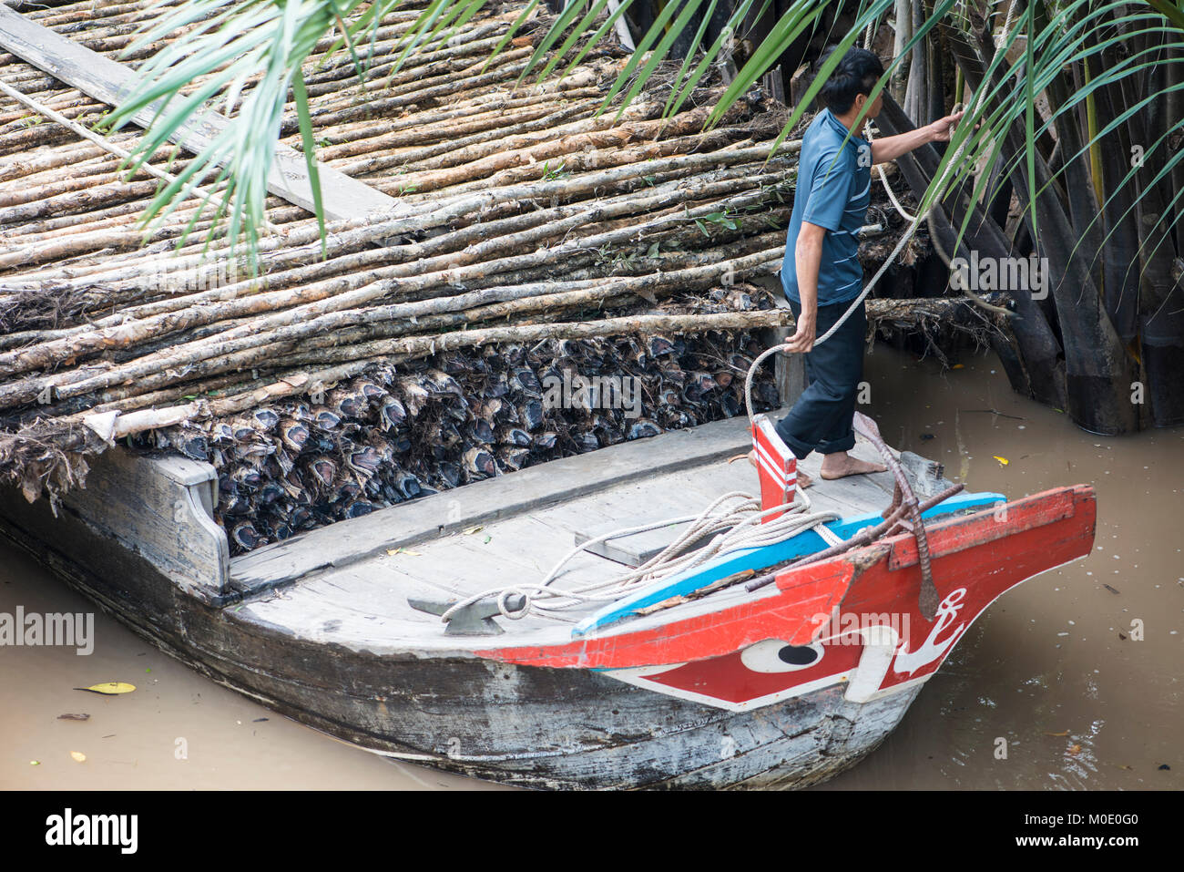 Canal barge transportant du bois, Vietnam Banque D'Images