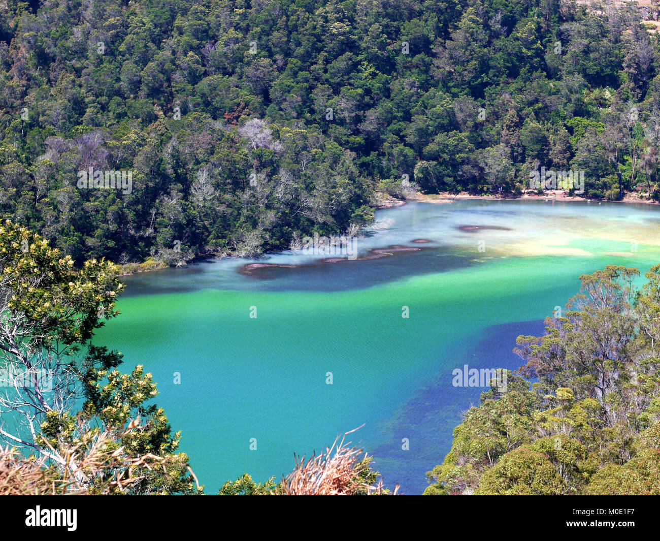 Telaga Warna Plateau Dieng, le lac à couleur changeante Dieng plateau a un million de beautés éblouissantes, avec une extraordinaire richesse naturelle et culturelle. Banque D'Images