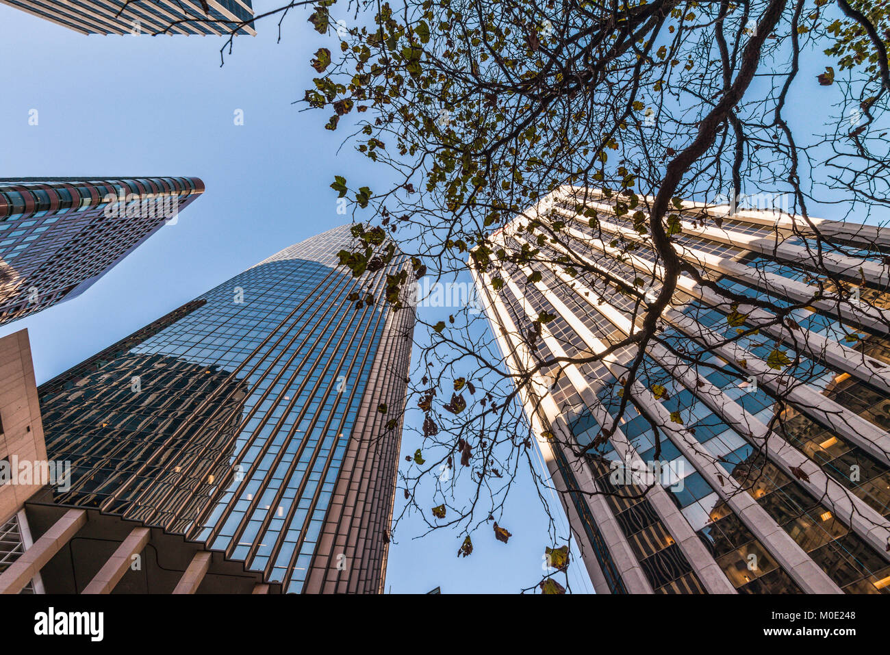 San Francisco Tours gratte-ciel bâtiments photographiés à partir d'un angle faible Banque D'Images