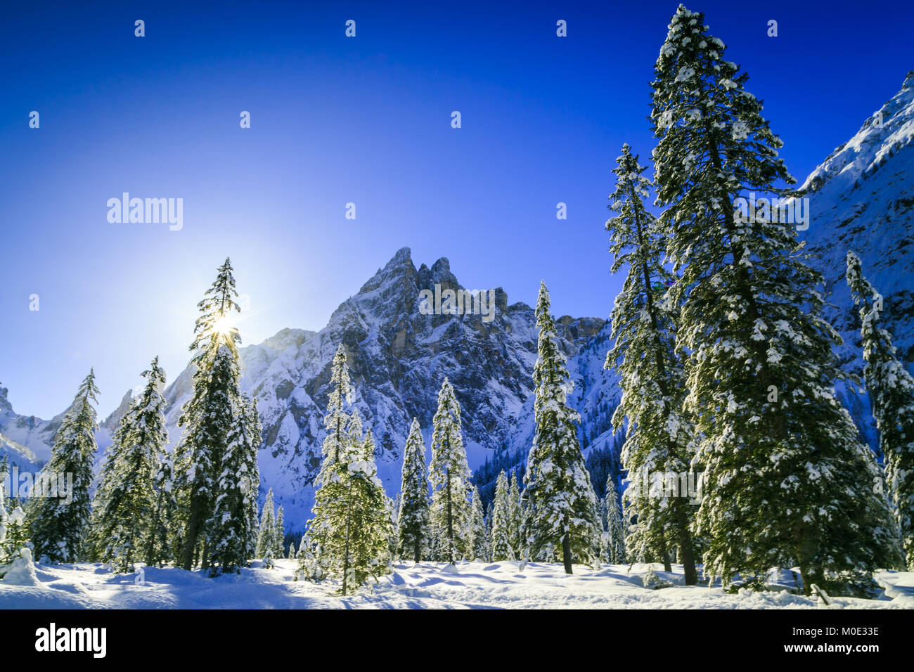 Matin d'hiver ensoleillé dans les Dolomites italiennes Banque D'Images