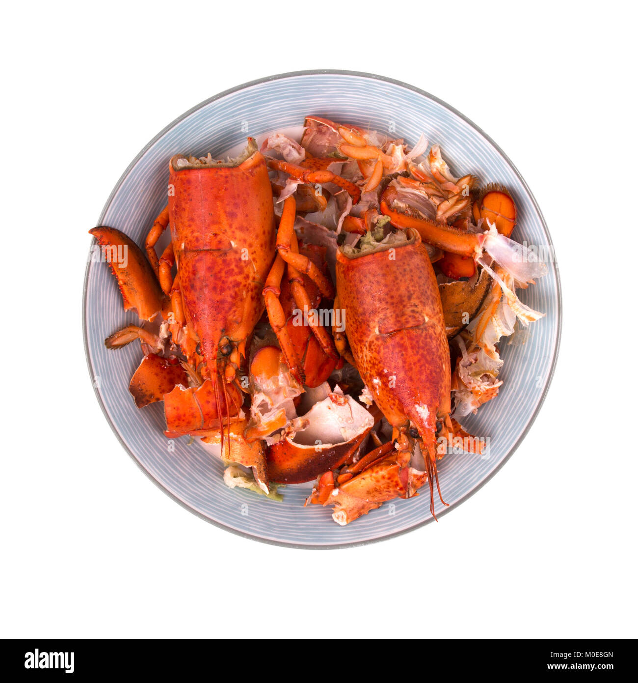 Assiette de restes de homards sur un fond blanc Banque D'Images