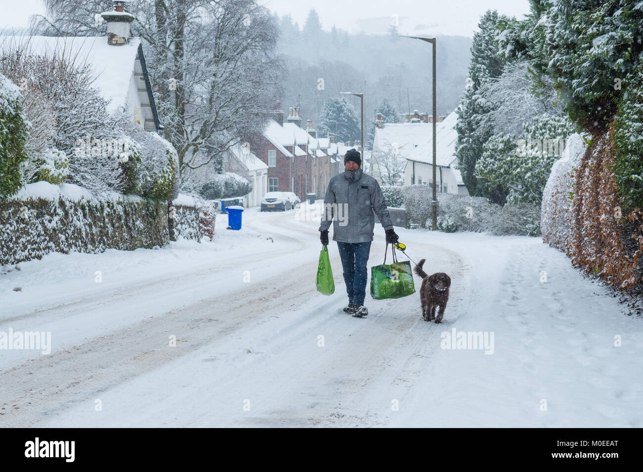 Killearn, Stirlingshire, Scotland, UK - 21 janvier 2018 : Royaume-Uni - homme marchant avec chien jusqu'route enneigée avec fournitures de village shopping shop après de fortes chutes de neige dans le Stirlingshire village de Killearn Crédit : Kay Roxby/Alamy Live News Banque D'Images
