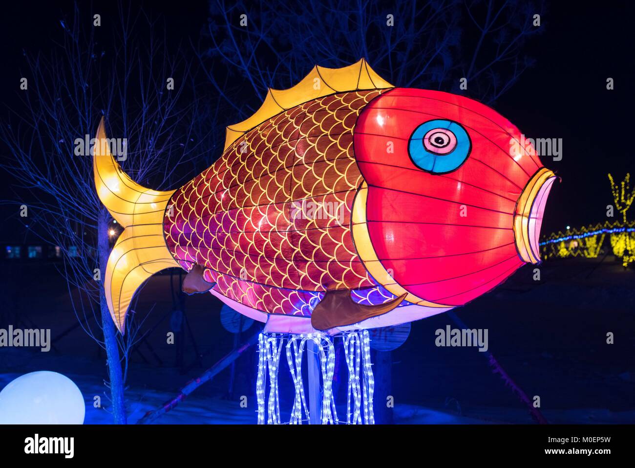 Harbin, Chine. 22 janvier, 2018. Divers poissons lanternes peuvent être vus au festival de lanternes de poissons. Les premiers poissons fête des lanternes est tenue à Harbin, Heilongjiang Province du nord-est de la Chine, 22 janvier, 2018. Crédit : SIPA Asie/ZUMA/Alamy Fil Live News Banque D'Images