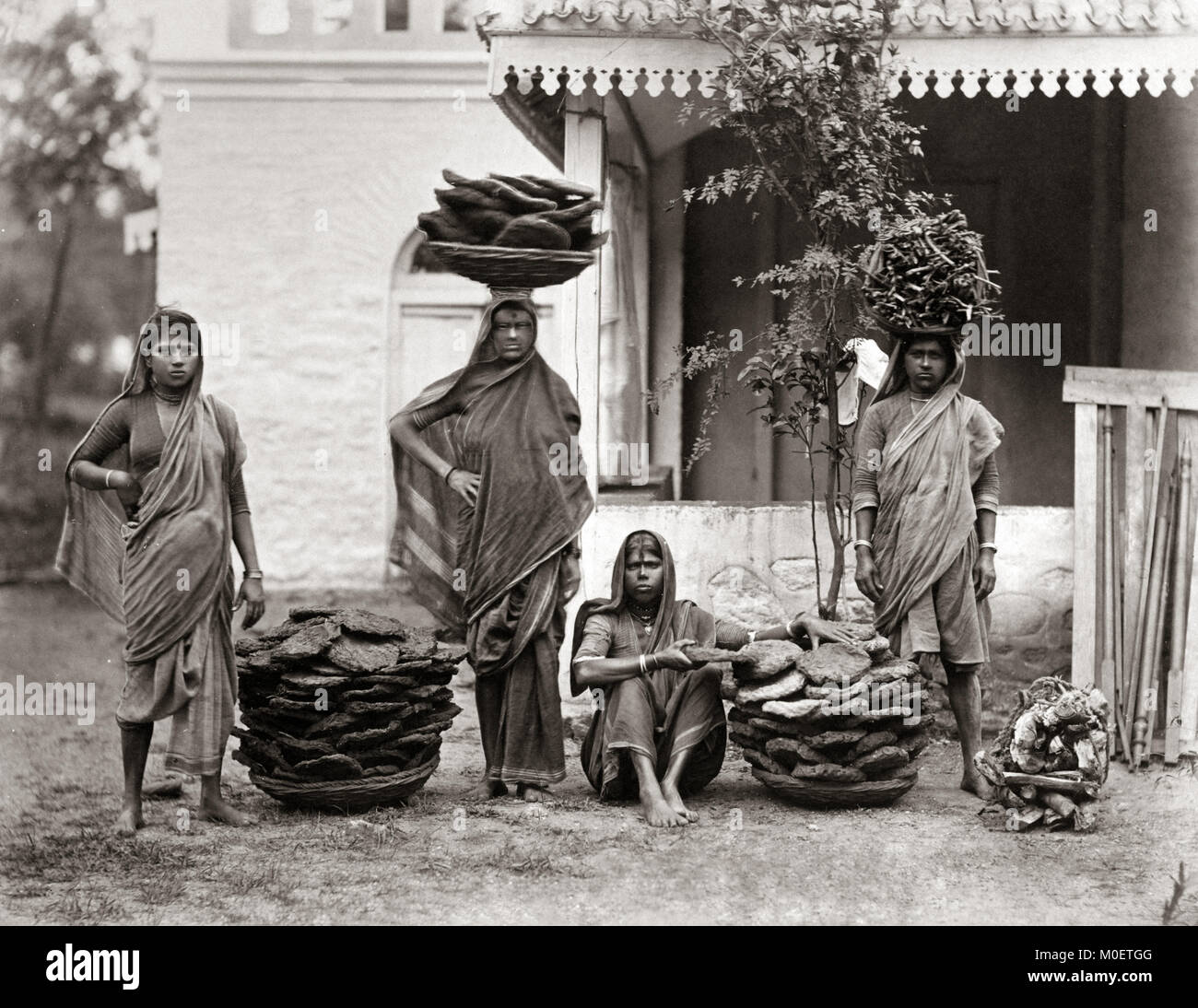 Séchoir à fumier, l'Inde, c.1870's le travail a été effectué principalement par les femmes de basse caste, et utilisé pour créer des combustibles pour la cuisine. Banque D'Images