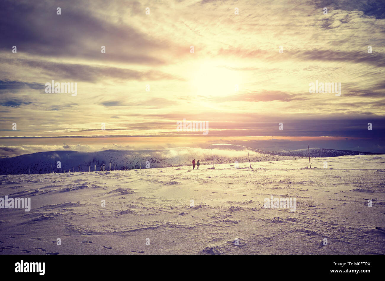 Paysage de montagne d'hiver au coucher du soleil, aux teintes de couleur photo. Banque D'Images
