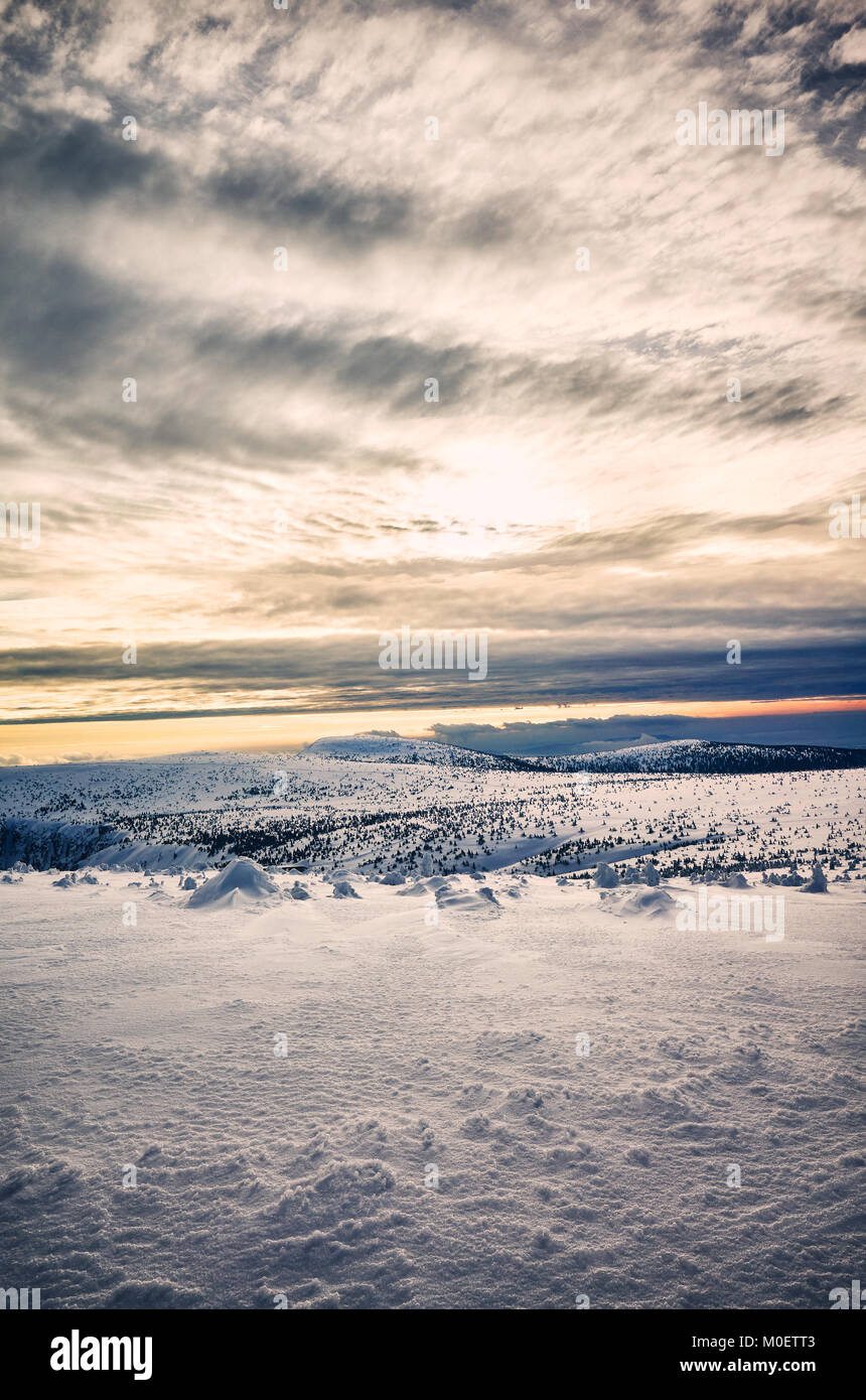Paysage de montagne d'hiver au coucher du soleil, la nature. Banque D'Images