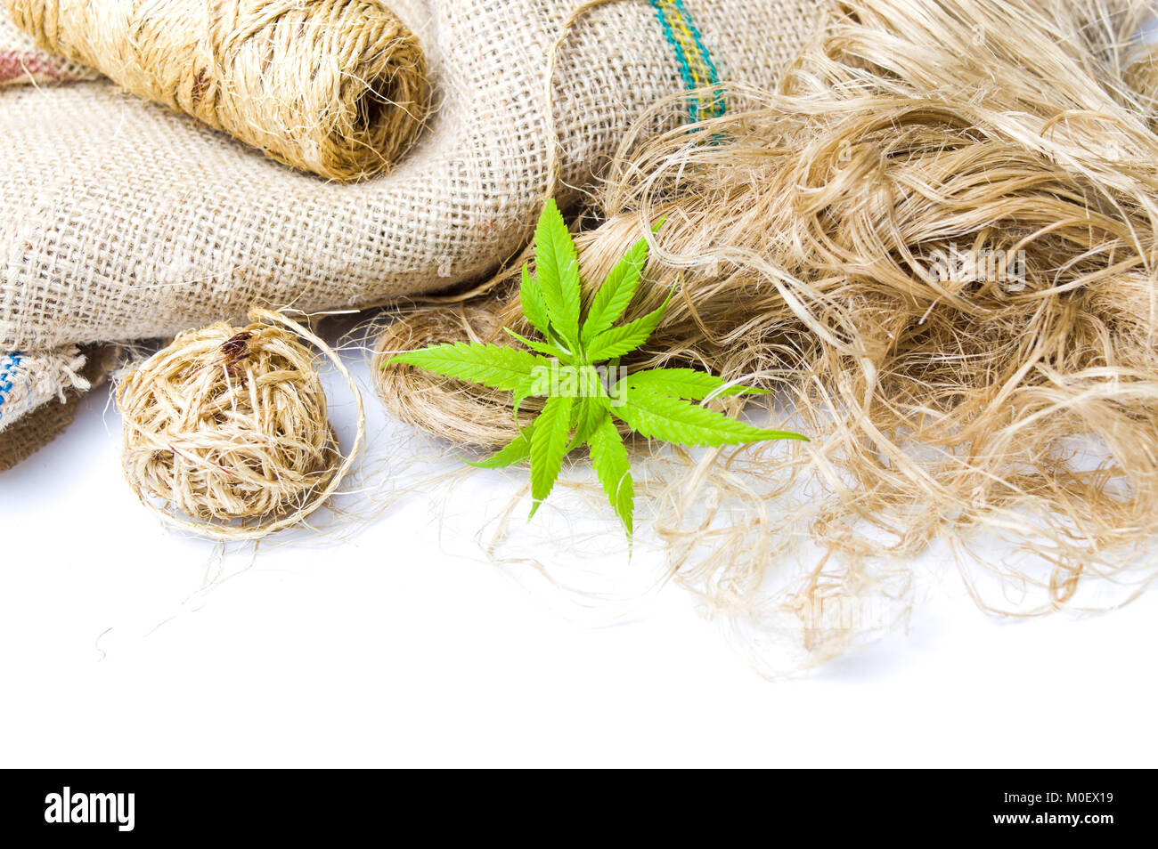 Feuilles de marijuana et de cannabis, les fibres de chanvre isolated Banque D'Images