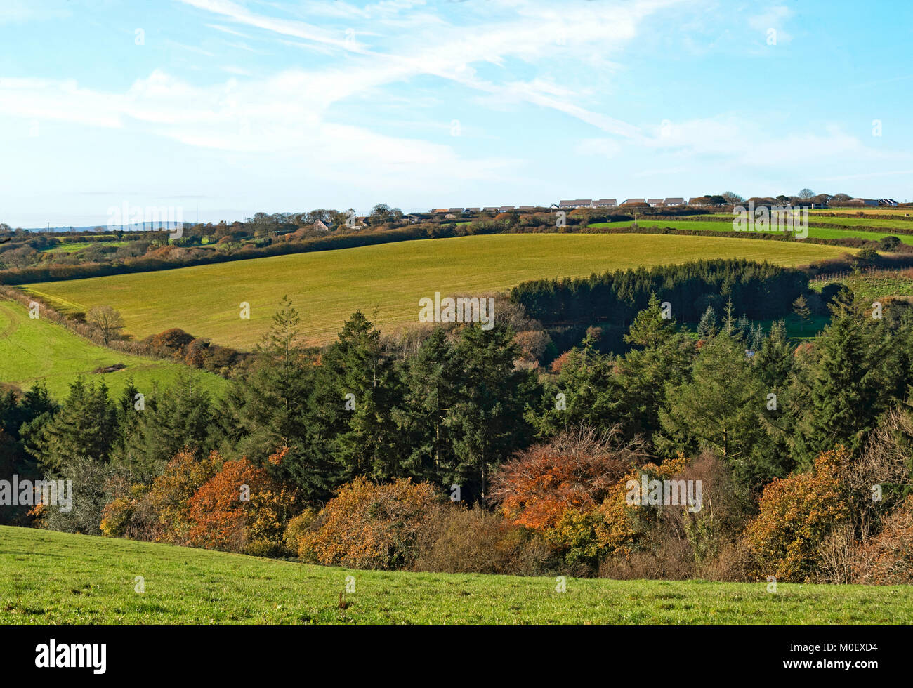 Paysage d'automne près de Truro, Cornwall, England, UK, Banque D'Images Paysage d'automne près de Truro, Cornwall, England, UK, Banque D'Images