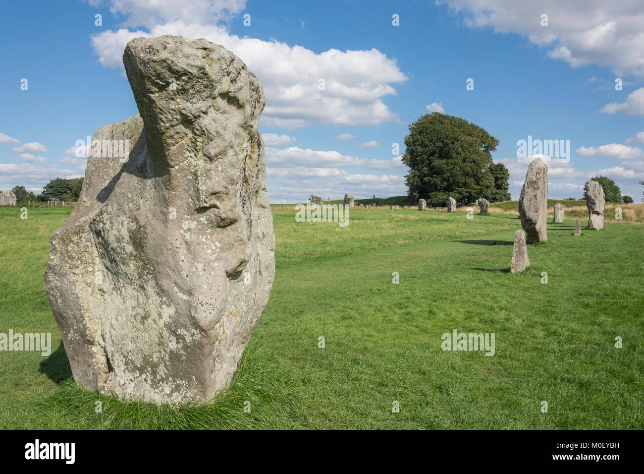 Avebury néolithique Menhirs, Avebury, Wiltshire, Angleterre, Royaume-Uni Banque D'Images