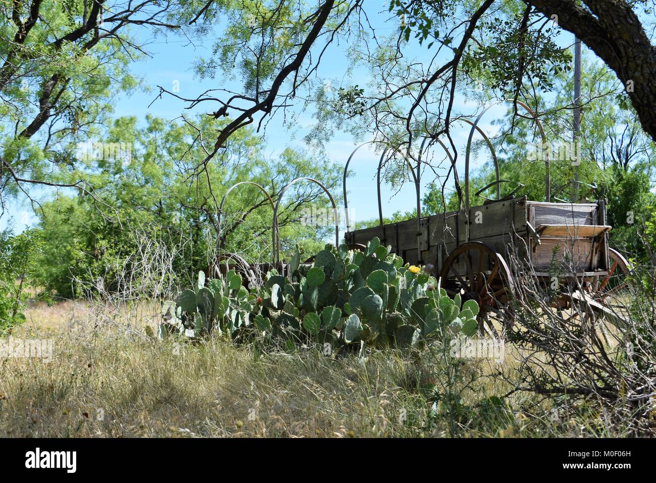 Vieux wagon avec des cactus Banque D'Images