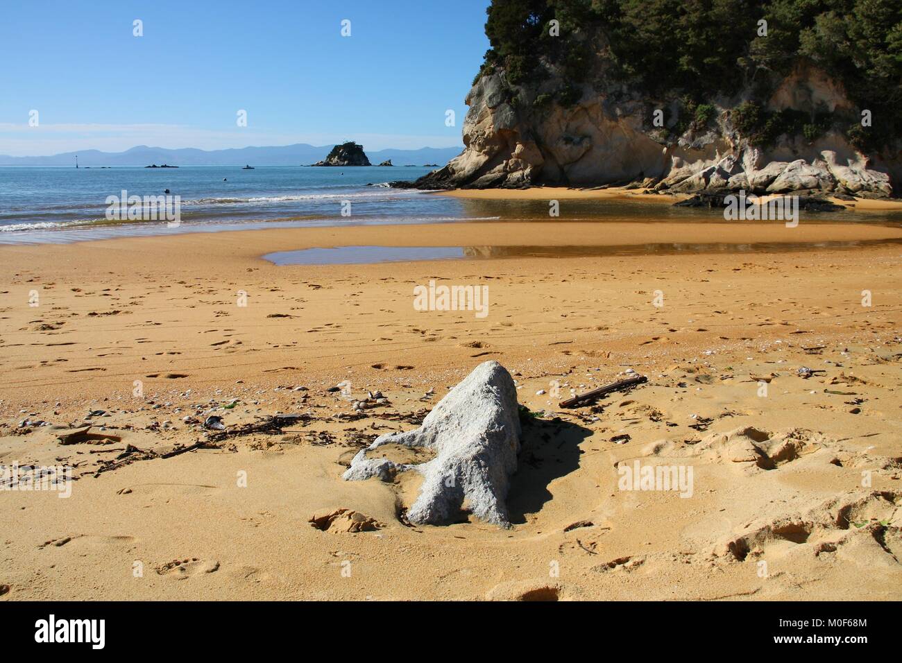 Région de Tasmanie, Nouvelle-Zélande - plage de Kaiteriteri paysage près de Parc National Abel Tasman. Banque D'Images
