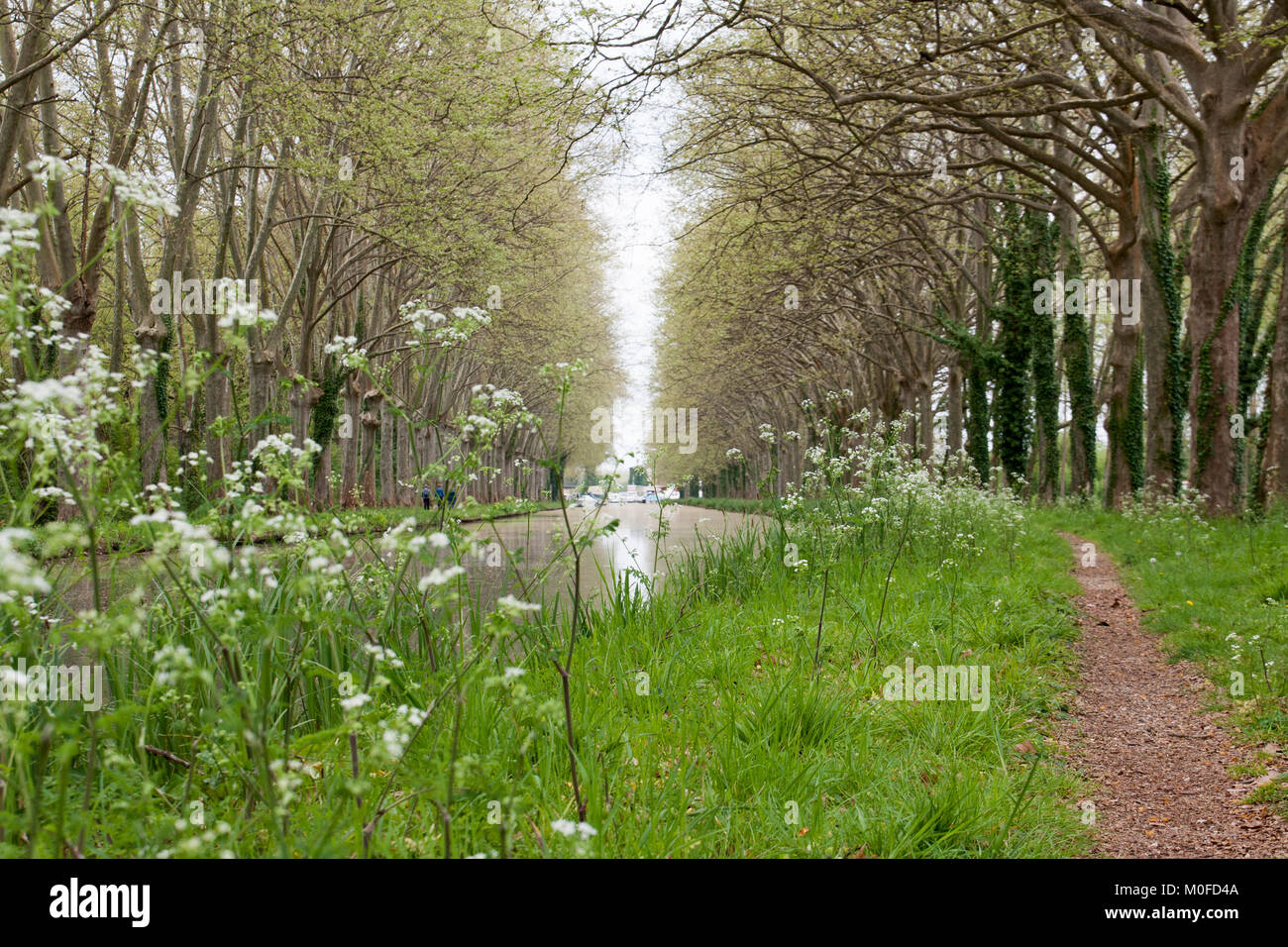 Canal latéral à la Garonne près de Fourques sur garonne Banque D'Images