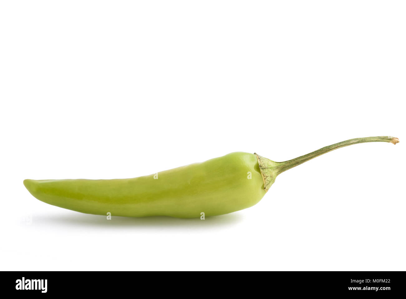 Chili Pepper branche avec des fleurs et feuilles isolées sur fond blanc Banque D'Images