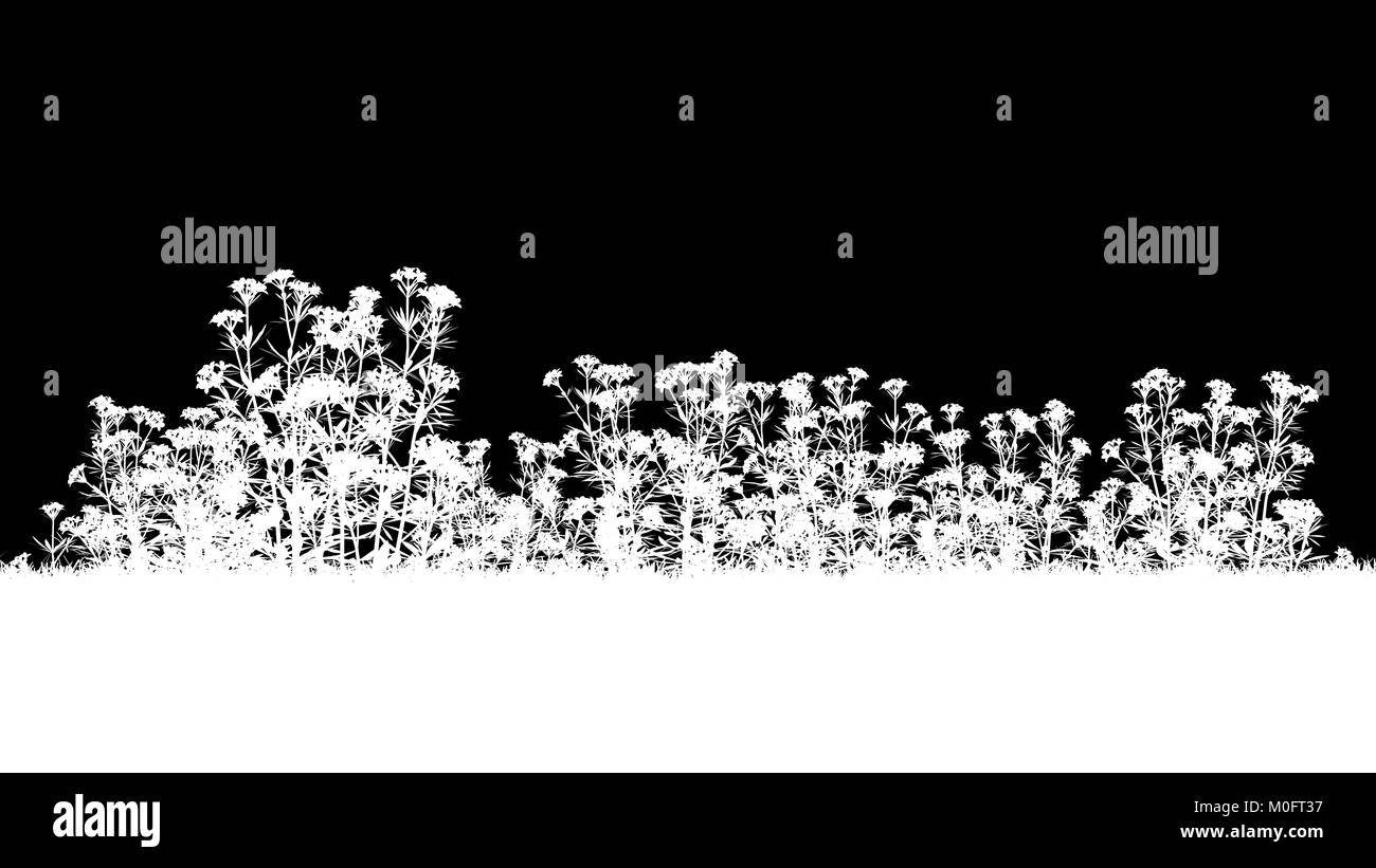 Le rendu 3D d'une silhouette noire sur les plantes Banque D'Images