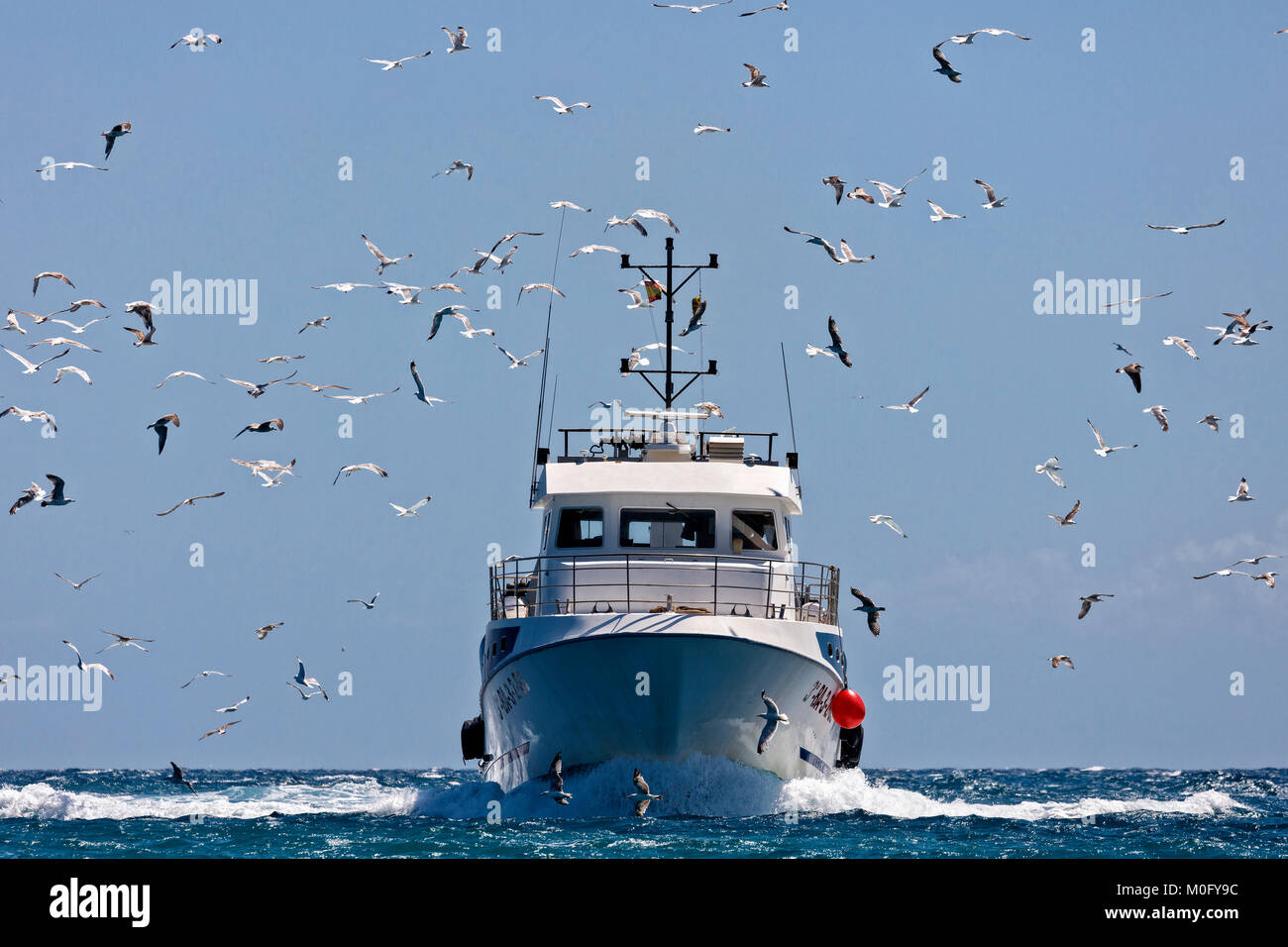 Bateau de pêche professionnelle et mouette tourner port arrière Banque D'Images