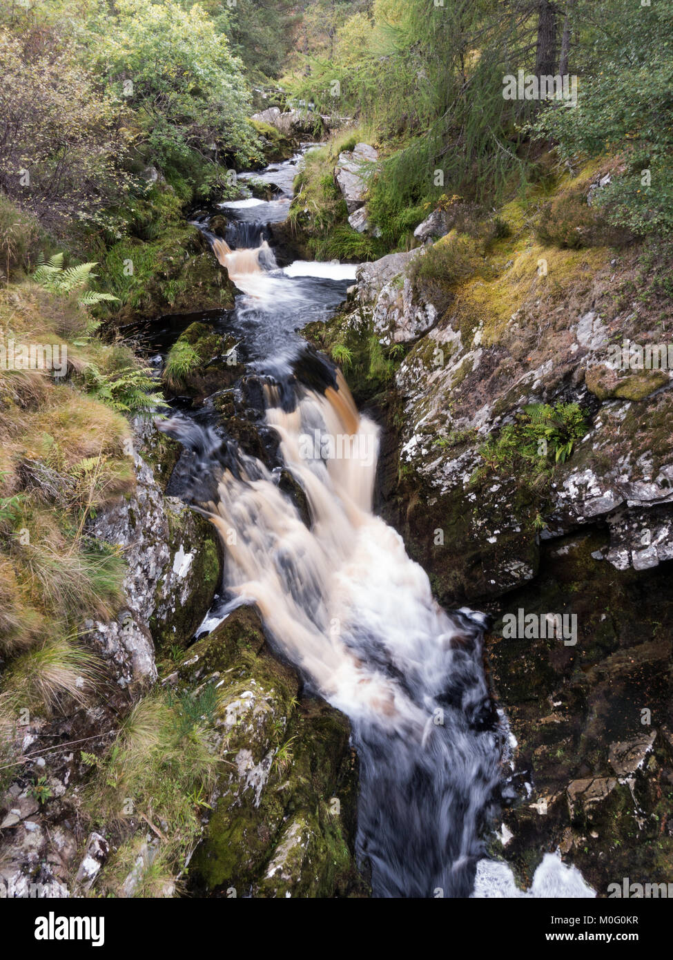 Un ruisseau de montagne, Allt Clais nam Foid, dégringole à travers la forêt dans le nord de Kyle Strath Highlands d'Ecosse. Banque D'Images