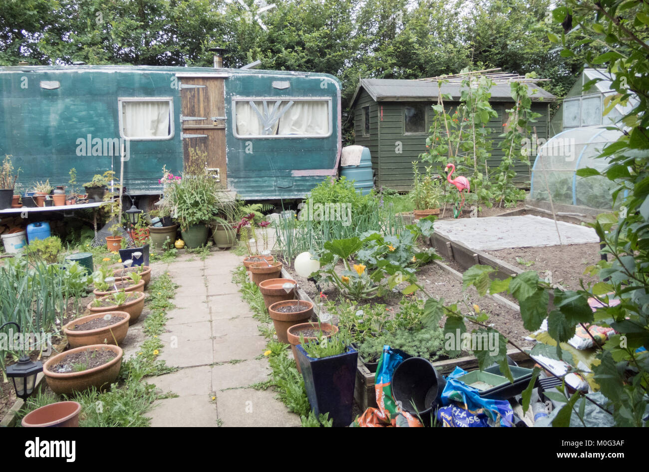 Market Garden, Cornwall, England, UK en été Banque D'Images