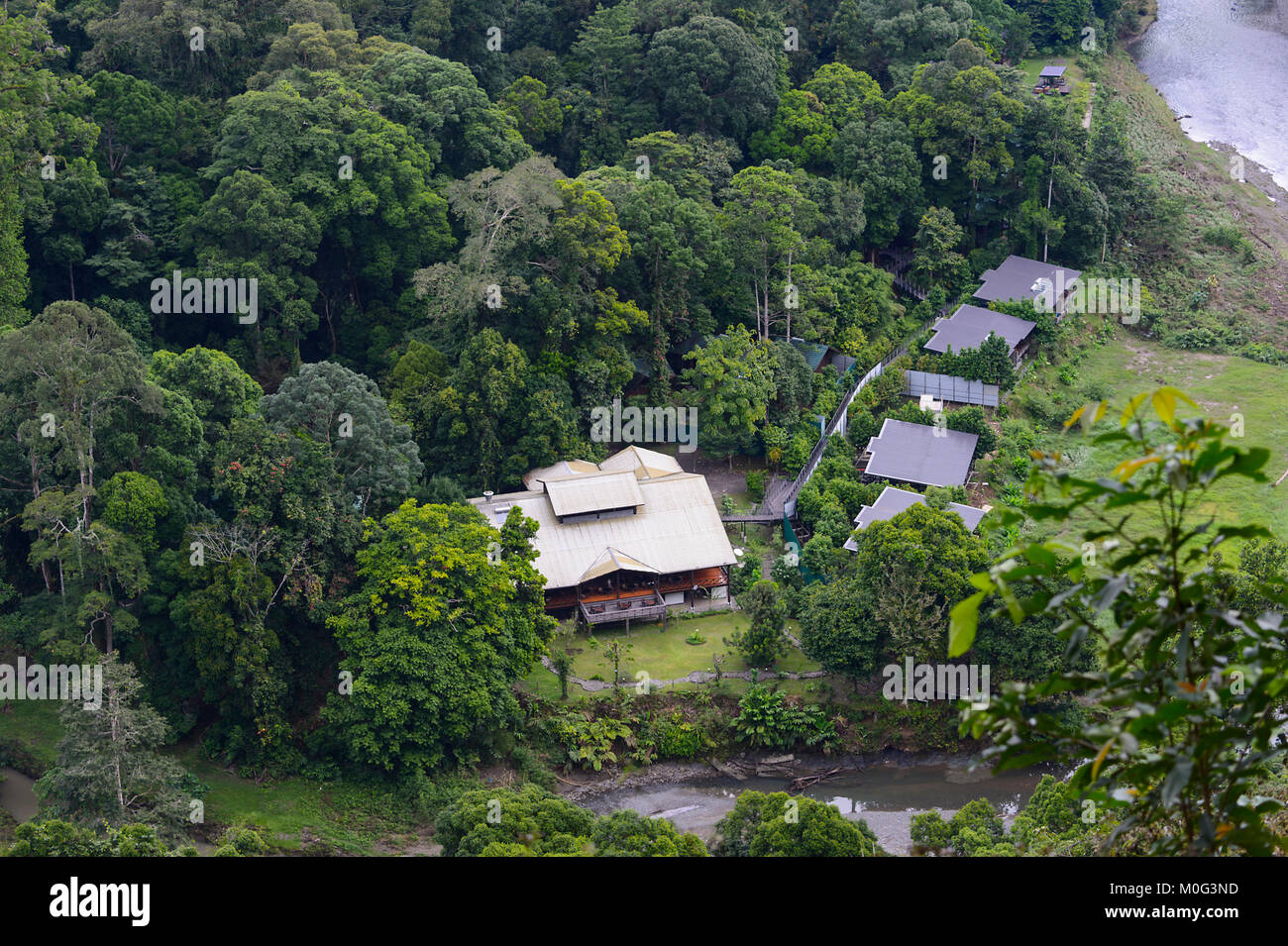 Vue sur Bornéo Forest Lodge, Danum Valley Conservation Area, Bornéo, Sabah, Malaisie Banque D'Images Vue sur Bornéo Forest Lodge, Danum Valley Conservation Area, Bornéo, Sabah, Malaisie Banque D'Images