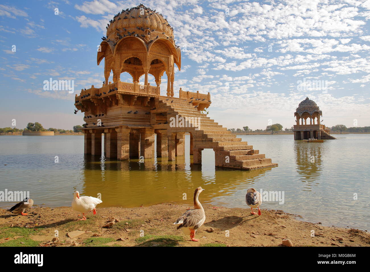 Avis de chhatris à Gadi Sagar Lake avec des bernaches dans l'avant-plan, Jaisalmer, Rajasthan, India Banque D'Images