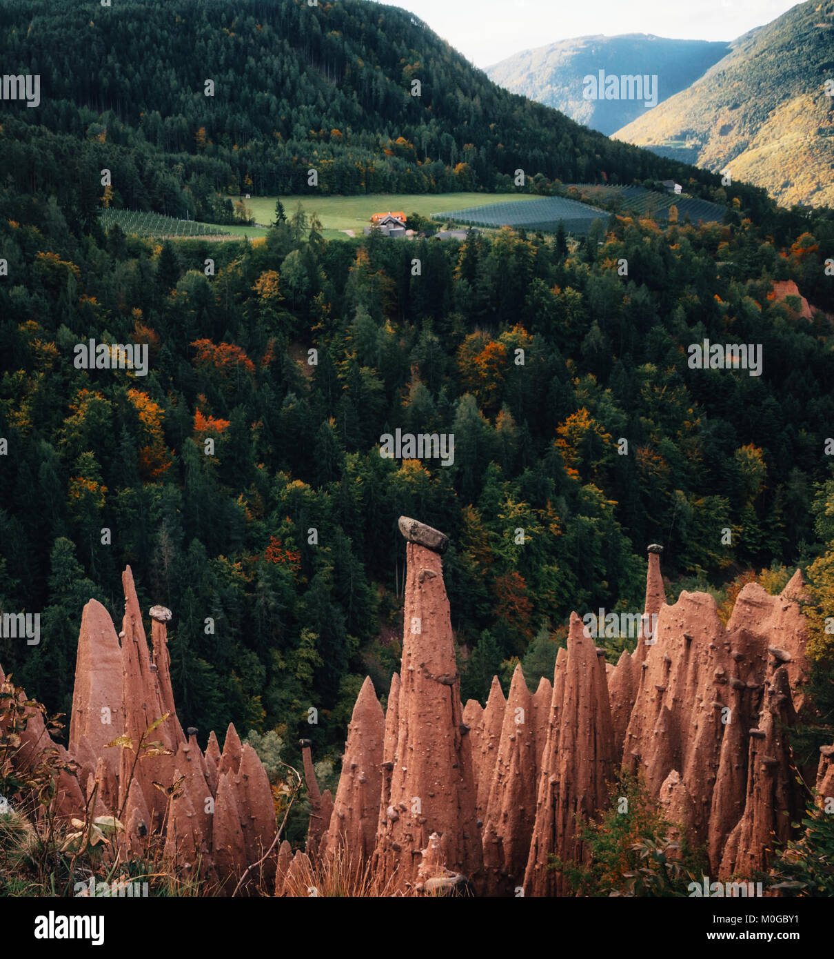 Pyramides de la terre avec des pierres sur le dessus en Renon Renon, région du Tyrol du Sud, Italie. Banque D'Images