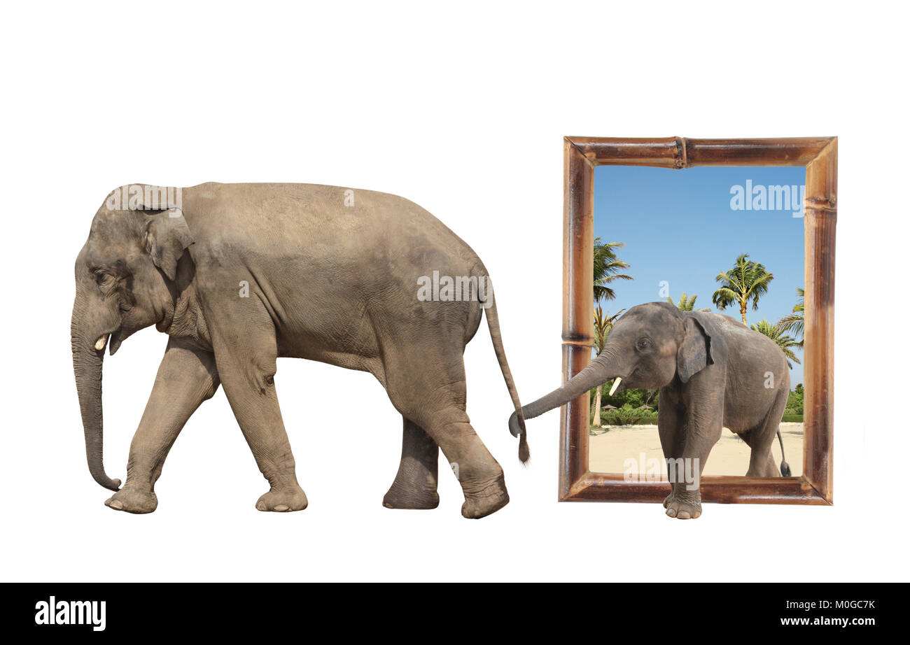 De Famille - maman et bébé éléphant (Elephas maximus) à l'armature en bambou avec effet 3D. Petit éléphant est tenu par le tronc par la queue de sa mère. La norme iso Banque D'Images
