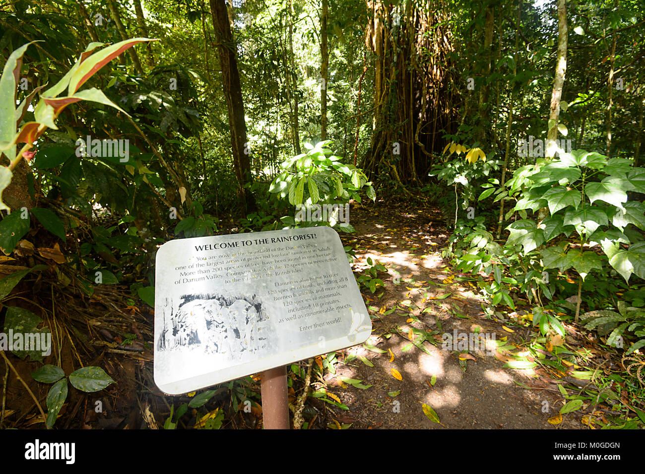Bienvenue à la vallée de Danum, signe Rainforest Conservation Area, Bornéo, Sabah, Malaisie Banque D'Images Bienvenue à la vallée de Danum, signe Rainforest Conservation Area, Bornéo, Sabah, Malaisie Banque D'Images