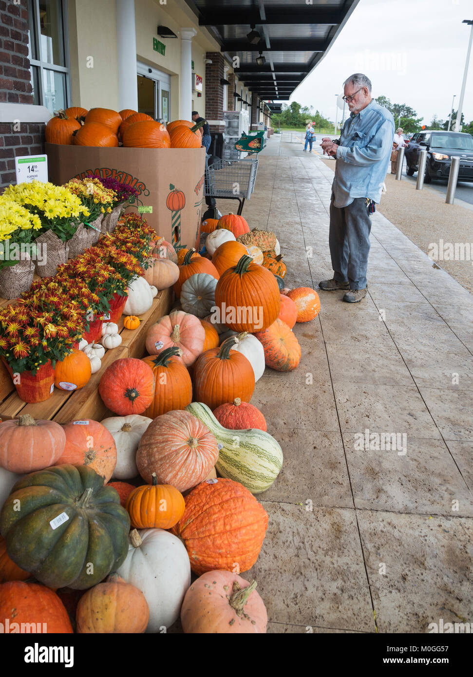 Les courges et citrouilles à vendre en face d'une épicerie dans le Nord de la Floride. Banque D'Images