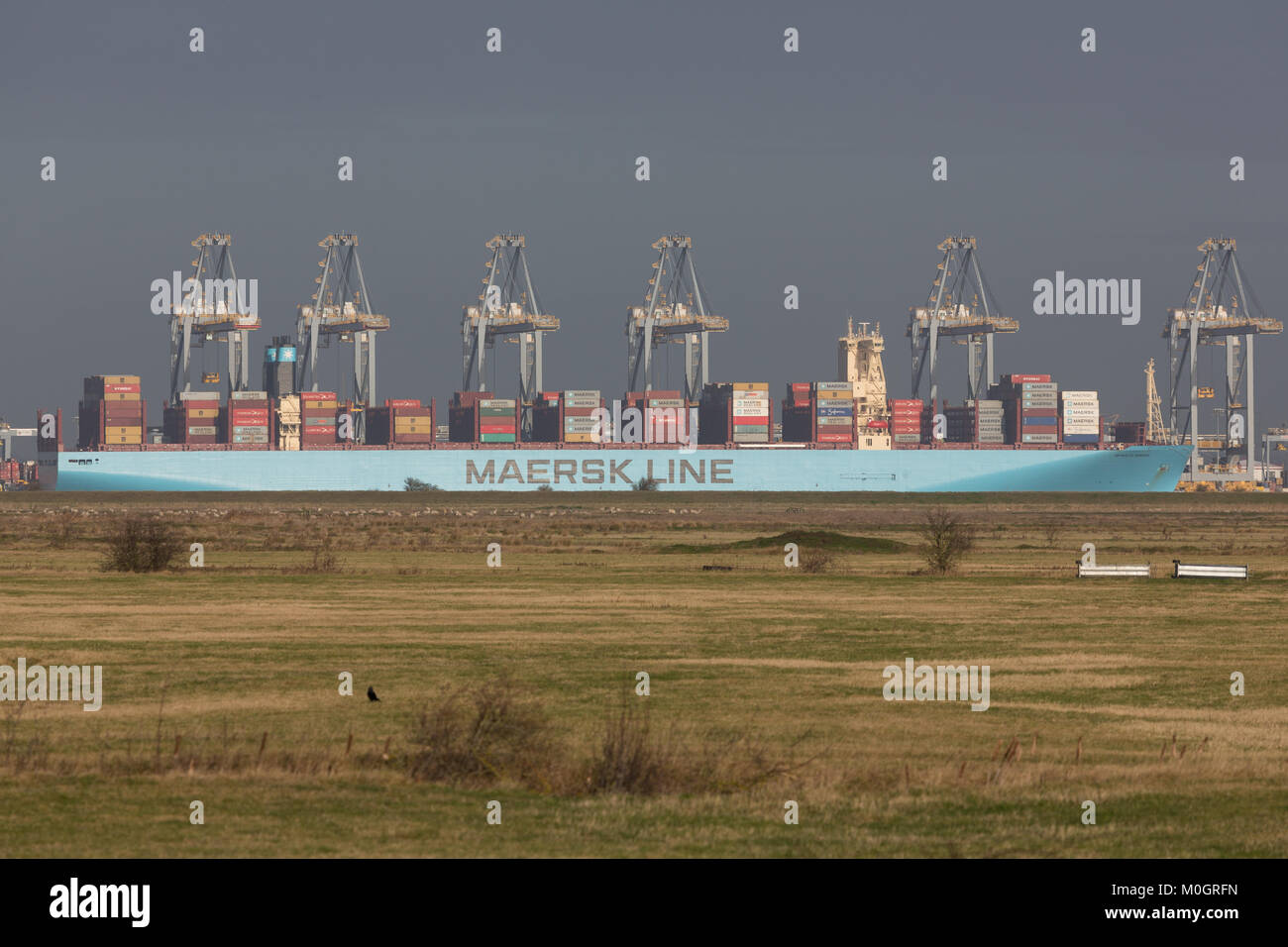 Cliffe, Kent, Royaume-Uni. 22 janvier, 2018. Maersk Monaco - L'un des plus grands porte-conteneurs au monde - en photo aujourd'hui à London Gateway port à conteneurs d'Essex. Les 399 mètres de long navire est pour son premier voyage en Europe et est illustrée de l'autre côté de la Tamise dans le Marais Cliffe sur la péninsule de Hoo. Crédit : Rob Powell/Alamy Live News Banque D'Images