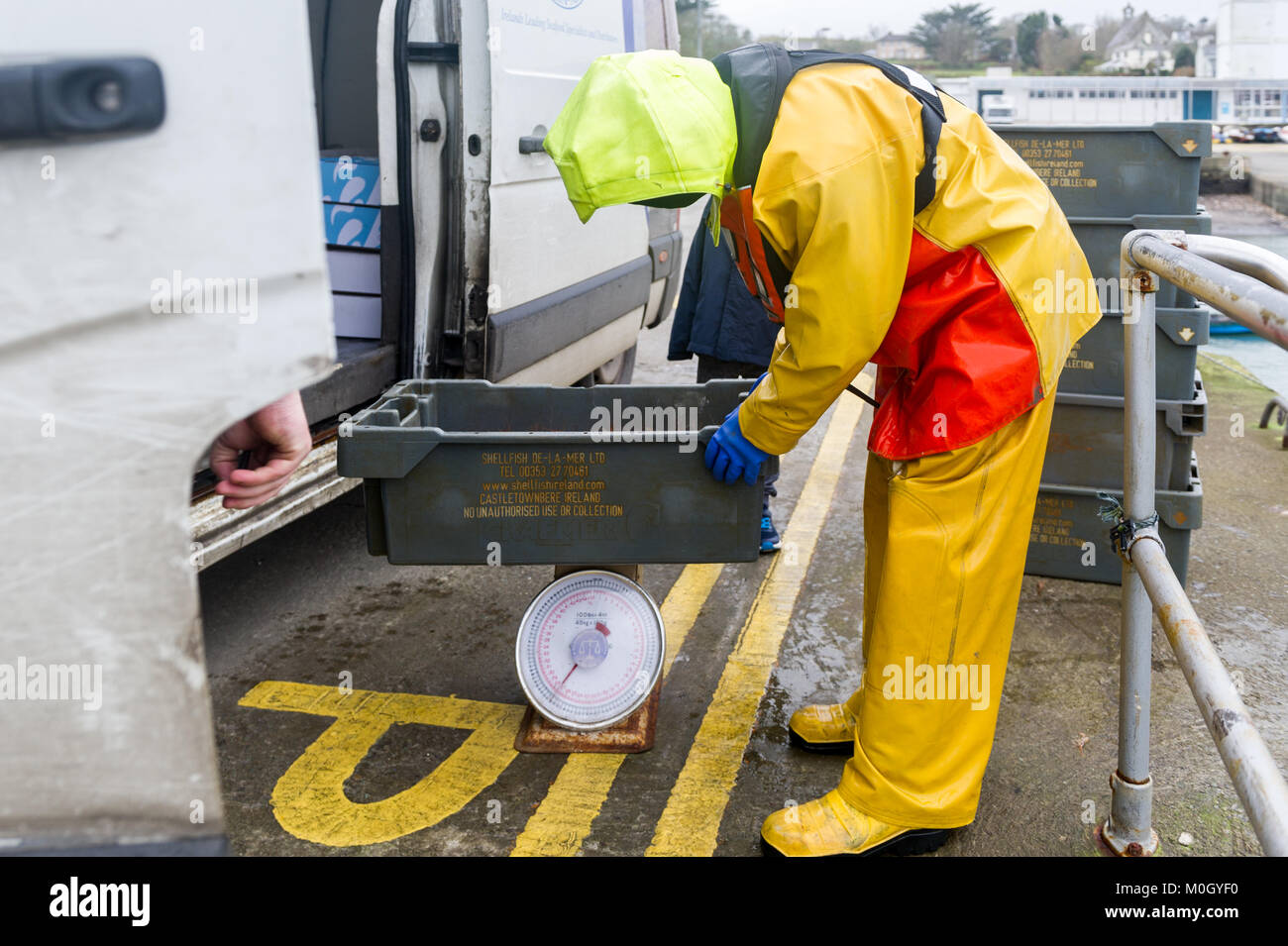 Schull, Irlande. 22 janvier, 2018. Après les tempêtes et le mauvais temps au cours des dernières semaines, l'Irlande était calme et sec aujourd'hui. À Schull Pier un pêcheur local pèse ses prises de crevettes qui est lié pour la France et l'Espagne après traitement à Castletownbere. Credit : Andy Gibson/Alamy Live News. Banque D'Images