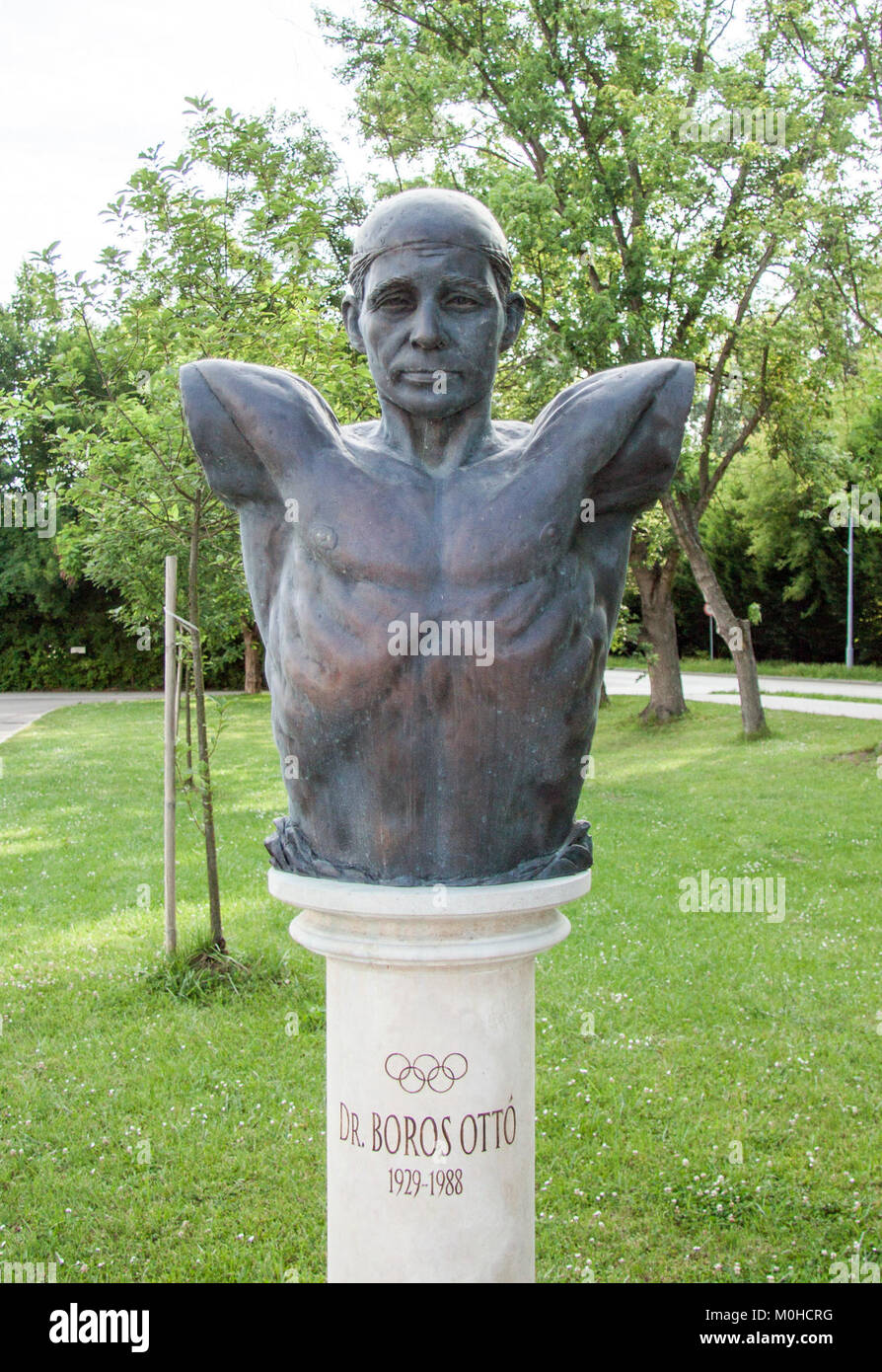 Un buste en bronze de Ottó Boros, situé à Szolnok, en Hongrie, commémore le célèbre joueur de water-polo hongrois. La sculpture honore sa contribution à l'histoire sportive nationale. Banque D'Images