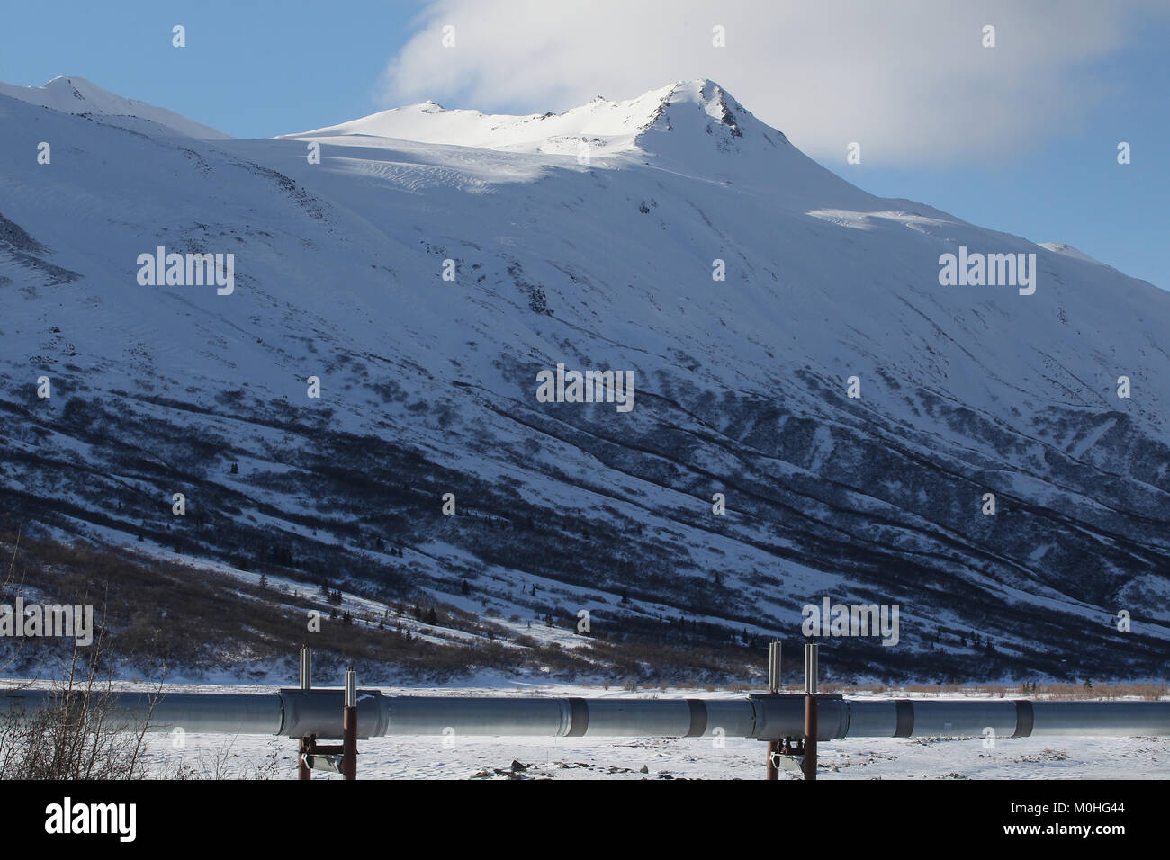 Le système de pipeline Trans-Alaska le long de l'autoroute Richardson en Alaska. Le pipeline de pétrole brut se déplace de Prudhoe Bay à Valdez. Banque D'Images