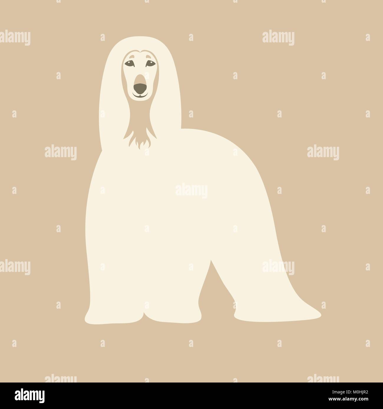 Chien lévrier afghan vector illustration style plat recto Illustration de Vecteur Chien lévrier afghan vector illustration style plat recto Illustration de Vecteur
