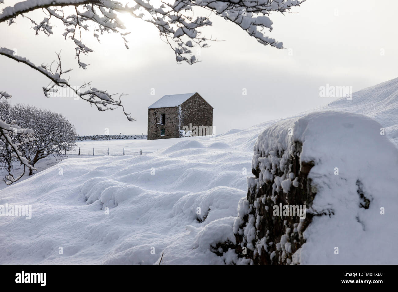 Grange en pierre traditionnelle et de chute de neige, de Teesdale, Holwick, County Durham, Royaume-Uni Banque D'Images