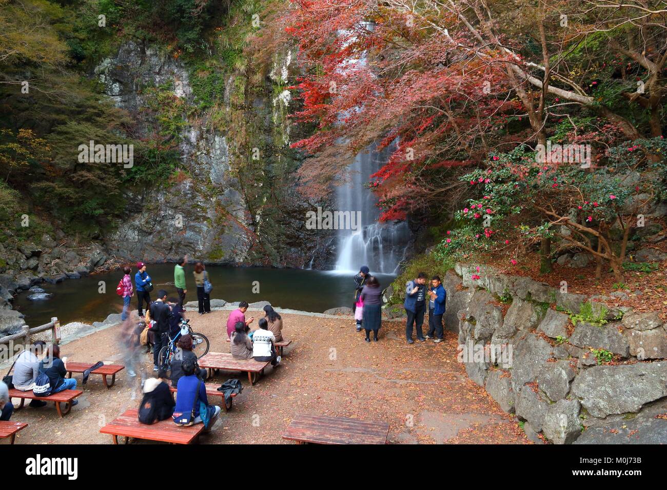 Le JAPON, MINOO - 22 NOVEMBRE 2016 : les visiteurs à l'ère Meiji no Mori Mino Parc Quasi-National près d'Osaka, au Japon. Le parc est connu pour ses spectaculaires de l'automne Banque D'Images