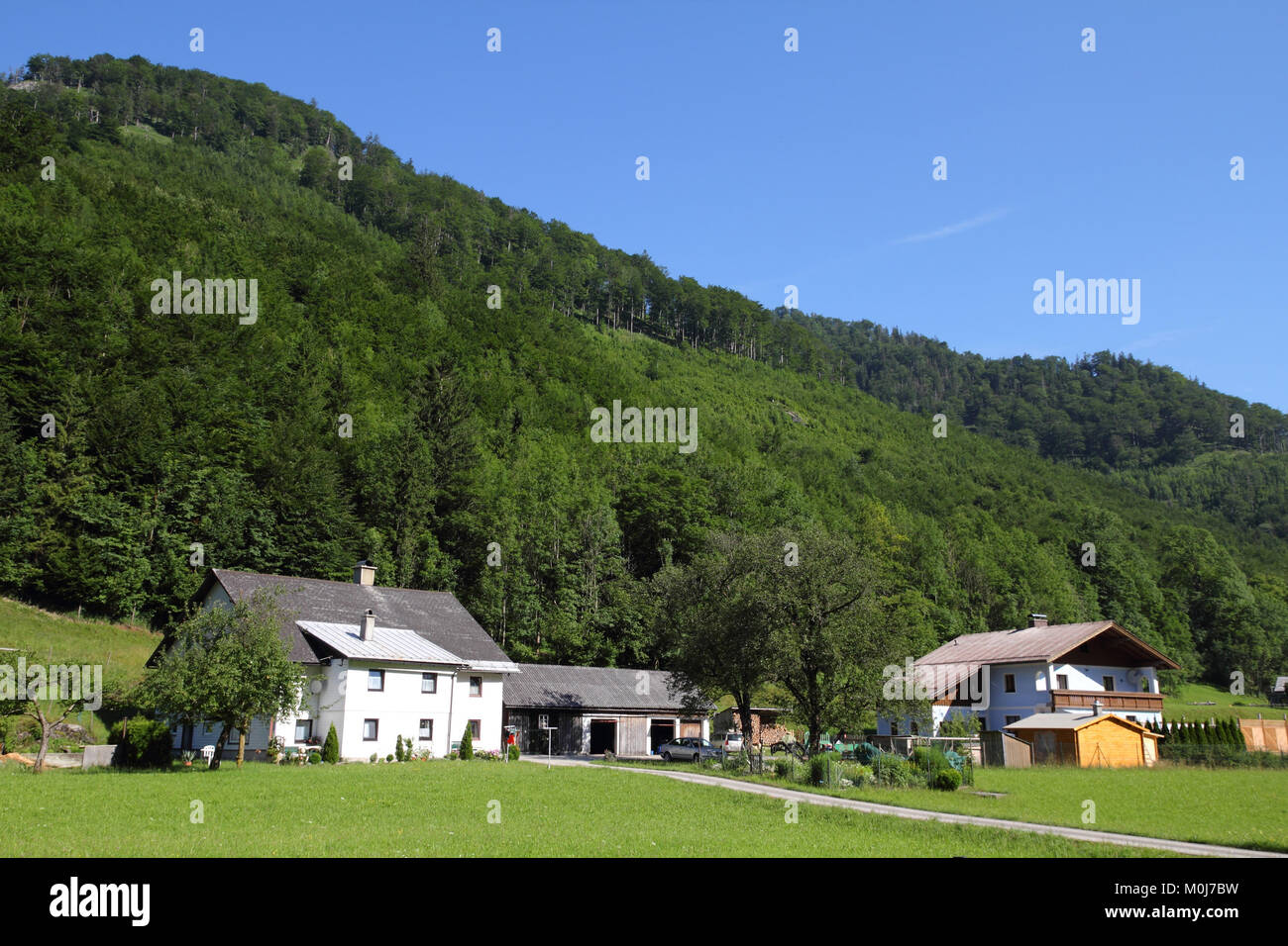 Autriche - magnifique village alpin. Petite ville avec les verts pâturages et les Alpes en arrière-plan. Banque D'Images