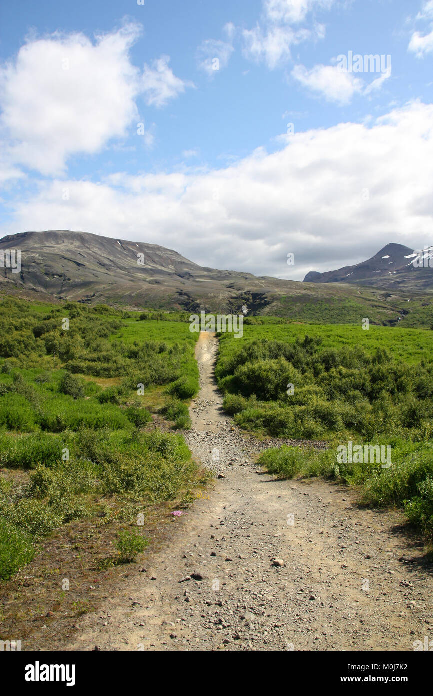 Sentier de montagne en Islande. Sentier de randonnée à côté de b Carmen canyon. Beau paysage. Banque D'Images