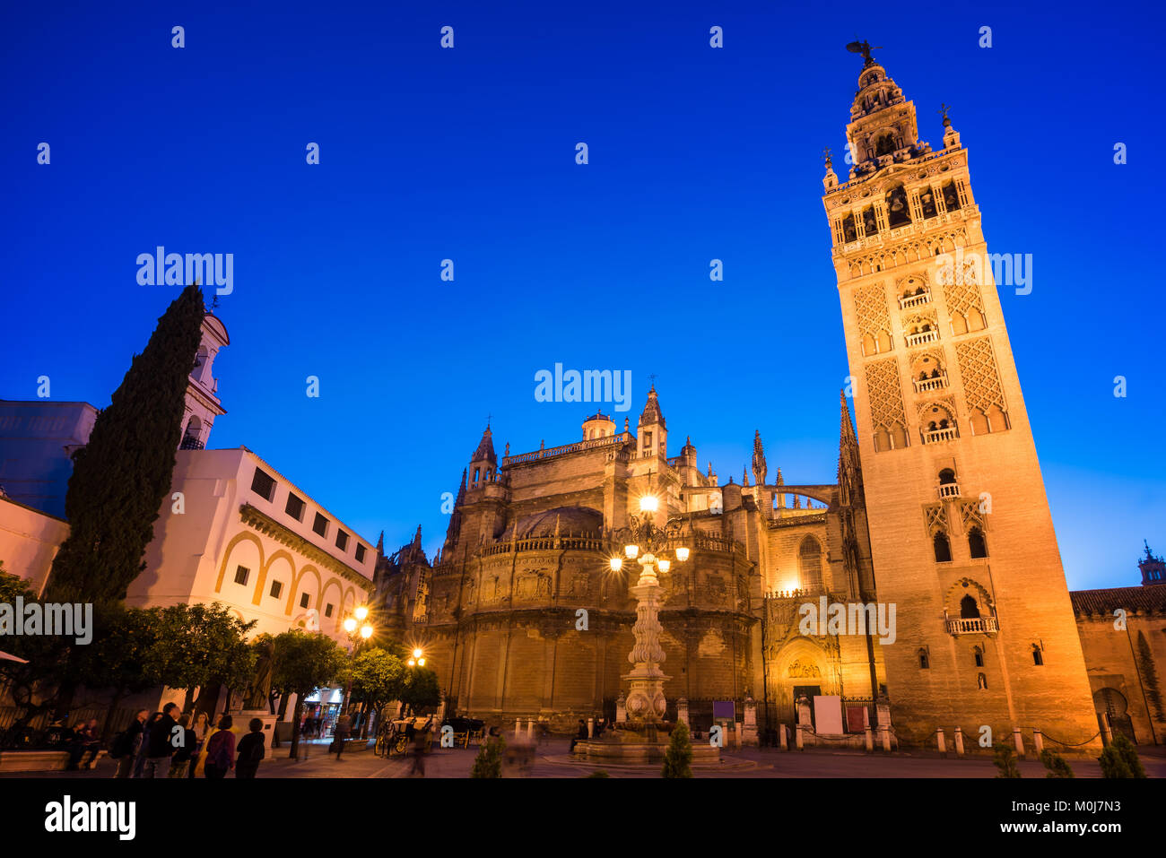 La cathédrale de Séville et la Giralda par nuit, Andalousie, Espagne Banque D'Images