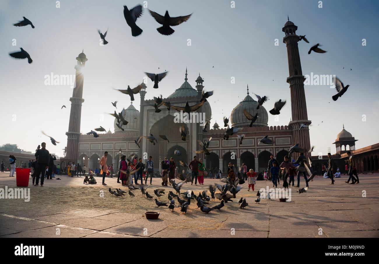 Jama Masjid dans Chandni Chowk, Delhi Banque D'Images