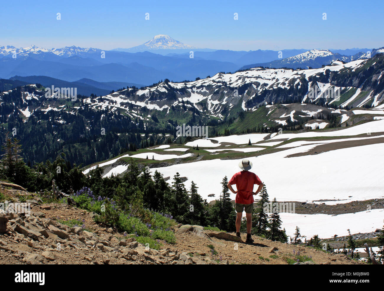 La vue à la péninsule de l'écart dans le sud à partir de Mt. Rainier National Park. Banque D'Images