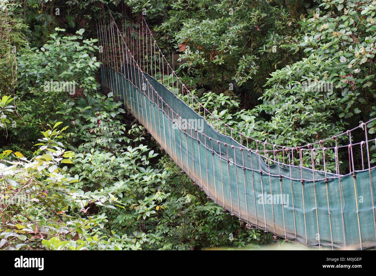 Ponts suspendus de l'Arenal Volcano. Province d'Alajuela, canton de San Carlos, Arenal, Costa Rica Banque D'Images