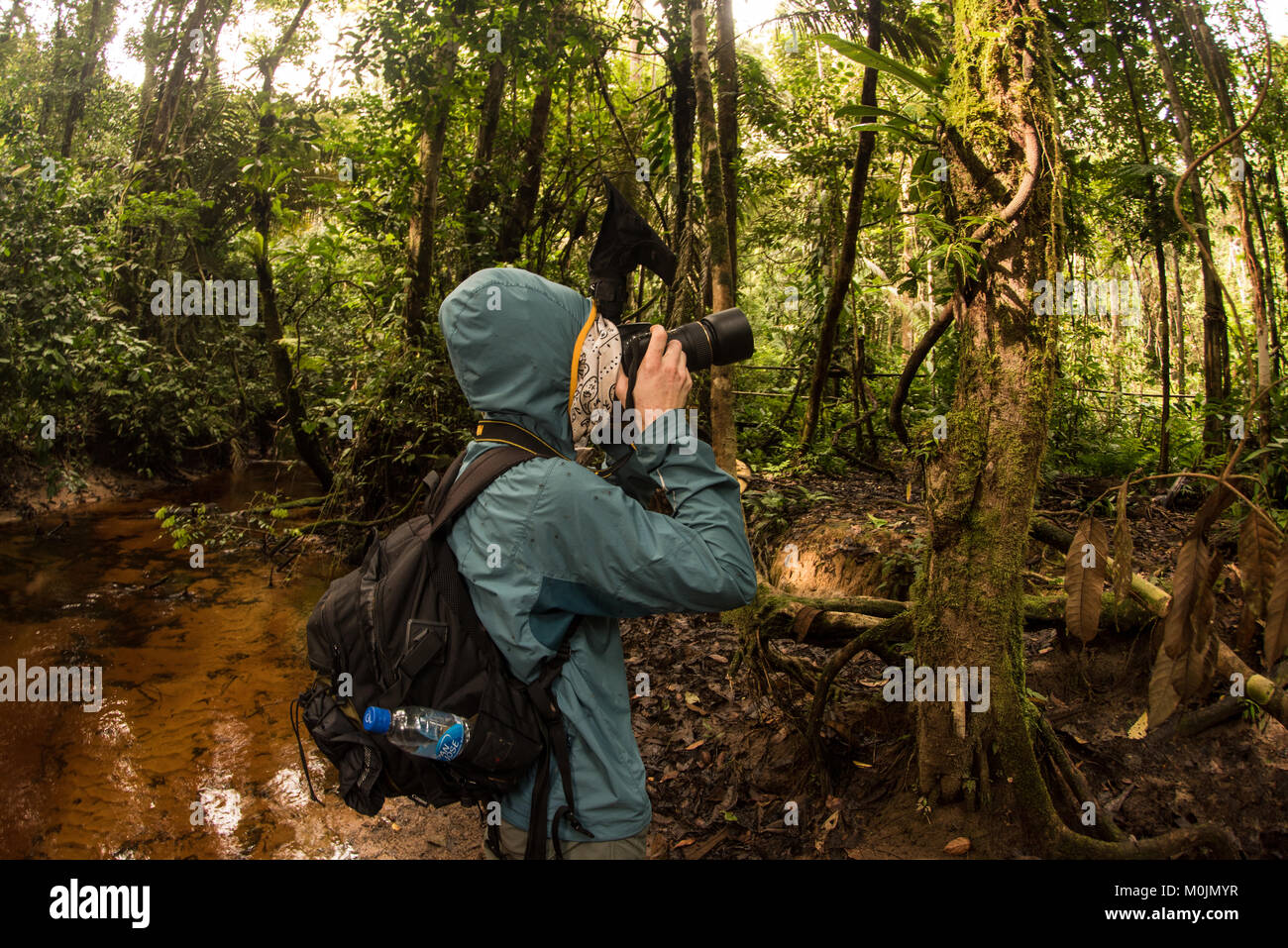 Un photographe de la nature s'arrête pour photographier quelque chose dans la forêt amazonienne. Banque D'Images